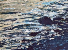 DillonC-202105-SwanLake-rocks.water-16x12-500