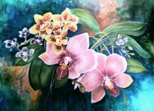 MA-Kinane-2023-Orchid-Medley-14x18-watercolor