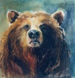 Bear 12x12  prints available